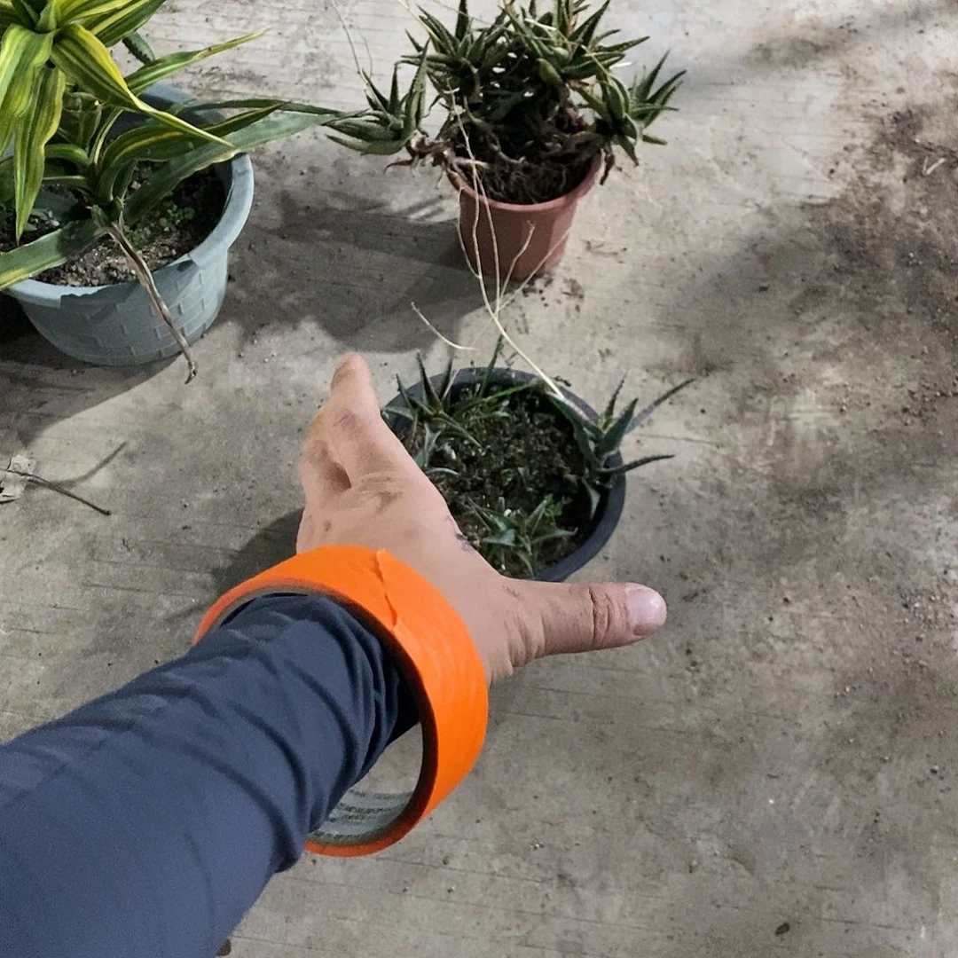 过**风0000009000000000000