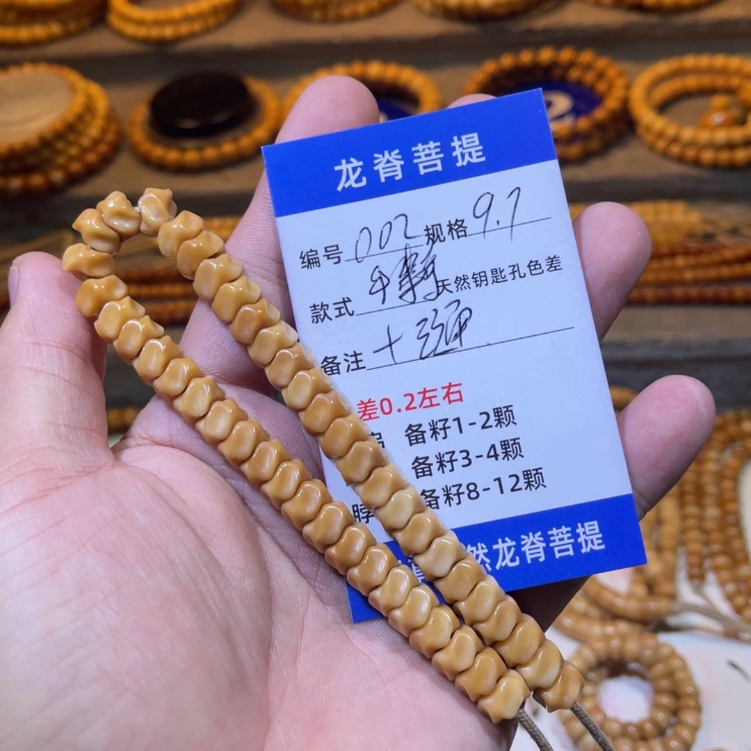 T***e龙脊菩提吊坠龙脊龙骨9.7