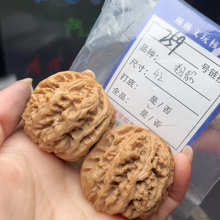 文玩核桃吊坠核桃树259