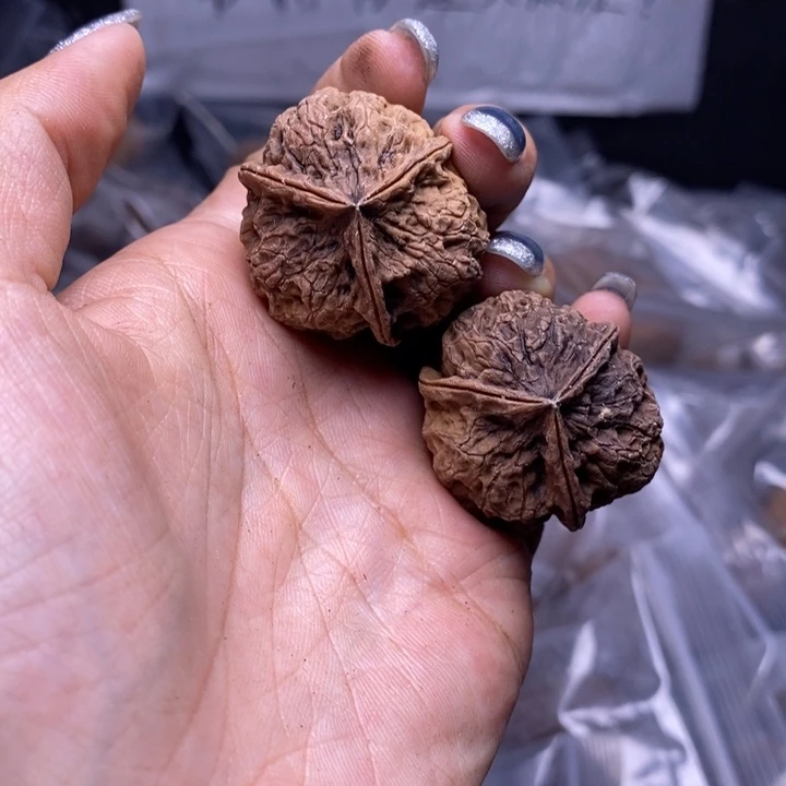核桃云南野生铁核桃142号33mm