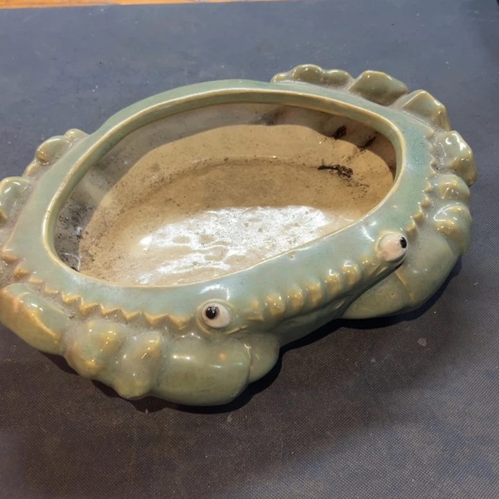水***明瓷片拾六家的瓷器瓷器