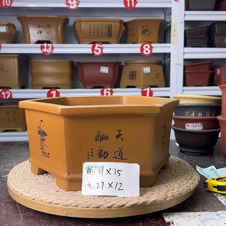 紫砂花盆蛇年大吉