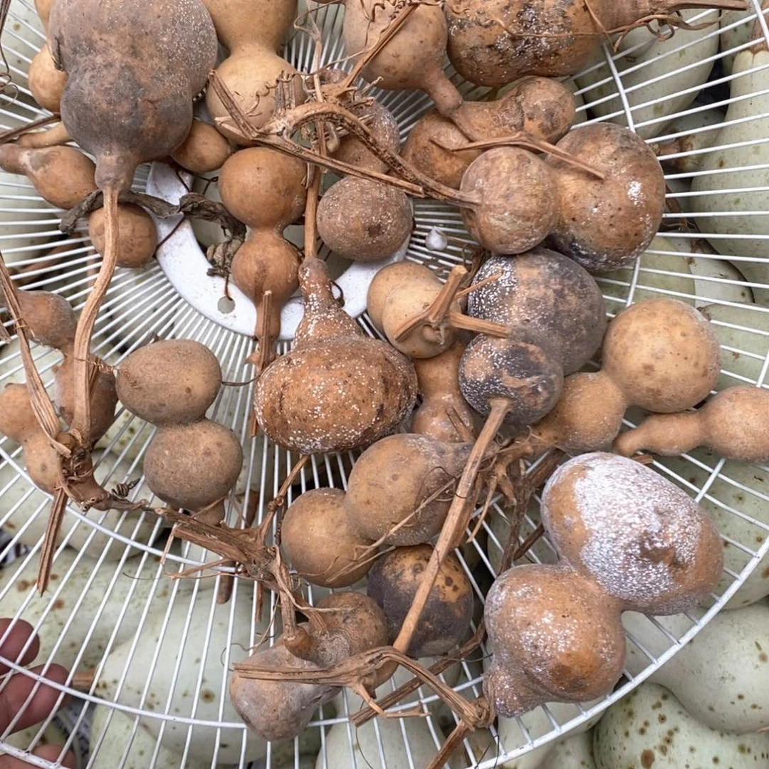 画皮葫芦文玩葫芦大杂烩