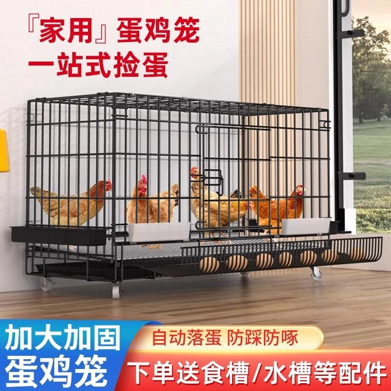 鸡笼子家用下蛋养鸡笼自动清粪滚蛋大号特大号鸡窝鸡舍折叠养殖笼
