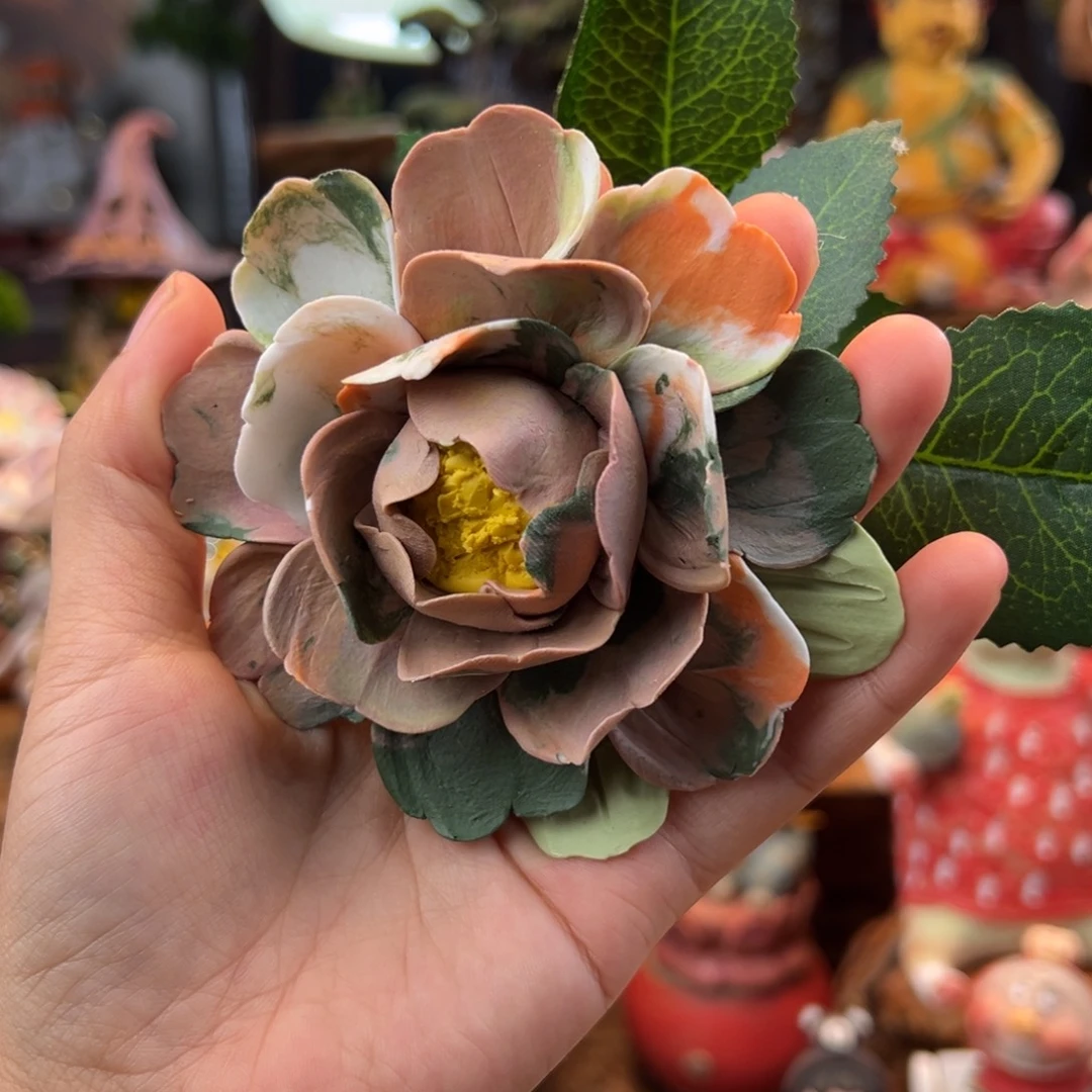 小镇青花每日有新品