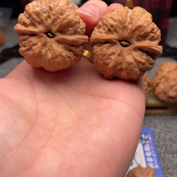 S***n大叶紫檀（黑酸枝木类）蛤蟆头C08