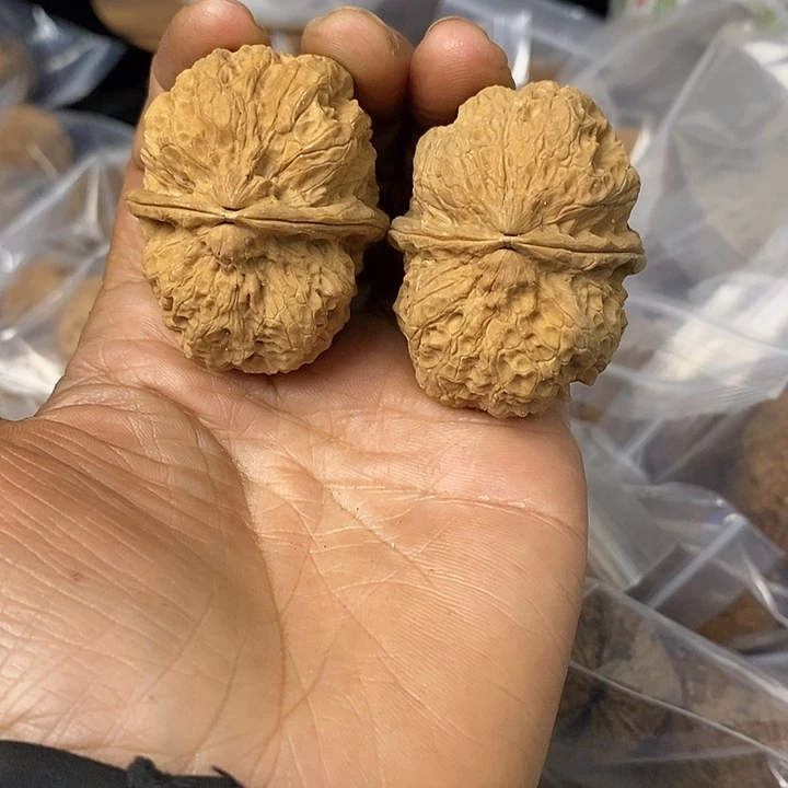 核桃云南铁核桃基地93