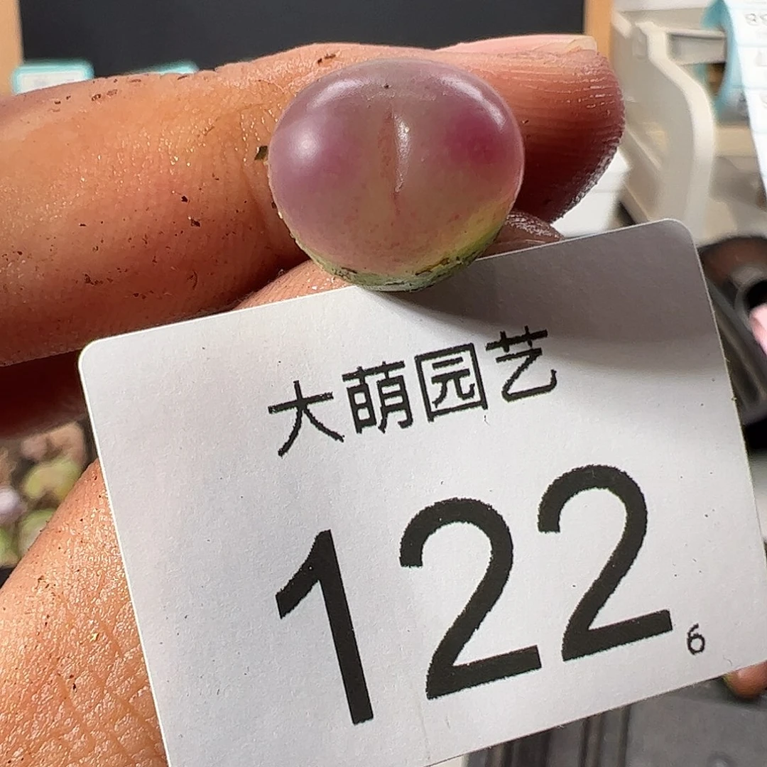 0000122 一物一拍……