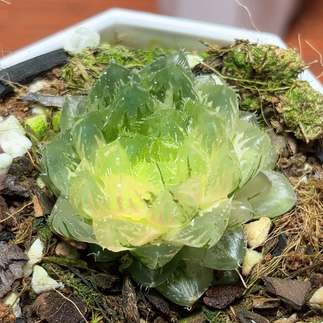 恭喜发财大吉大利941