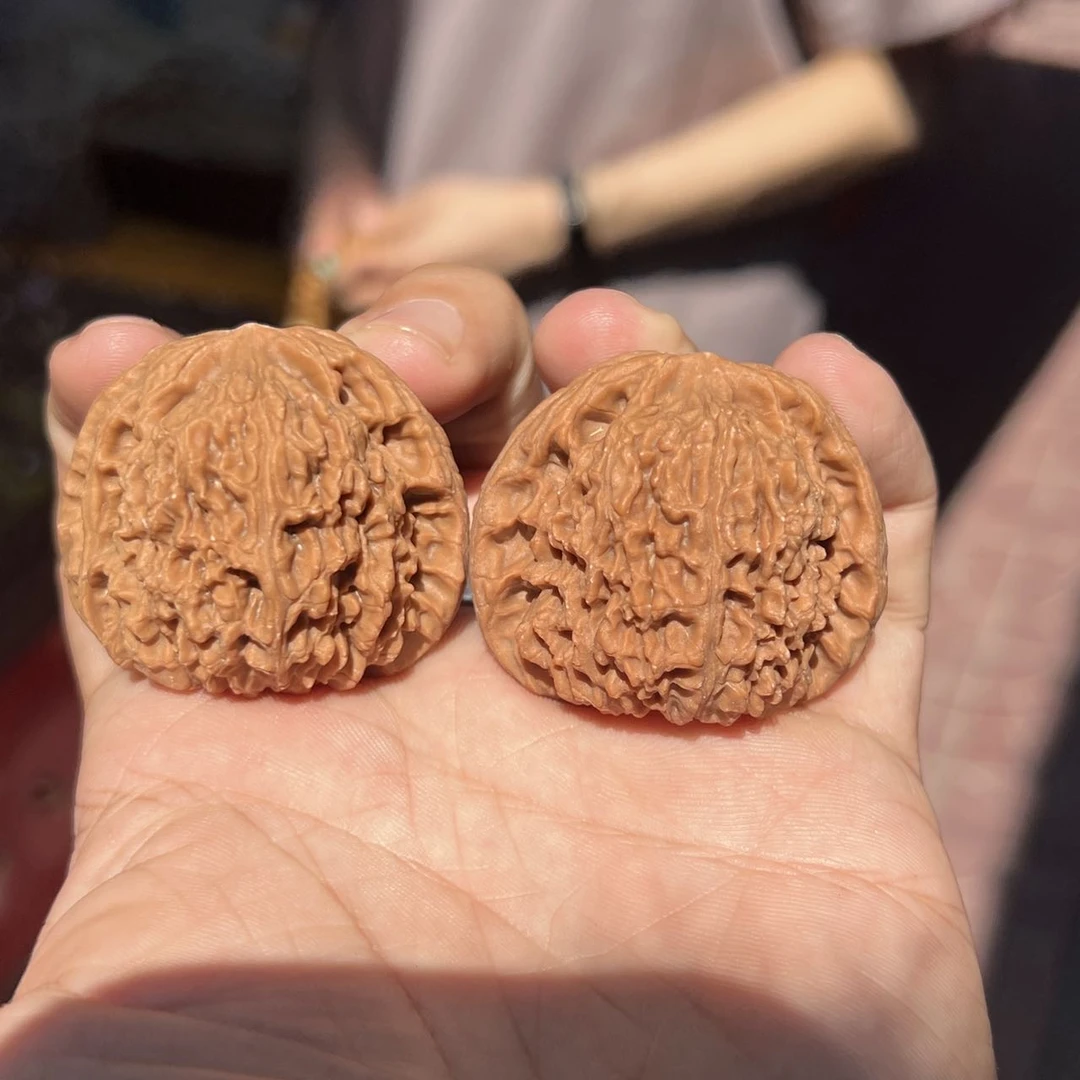 【中国涞水麻核桃协会】26 G50039-南疆石-全品-多样性发其一40mm