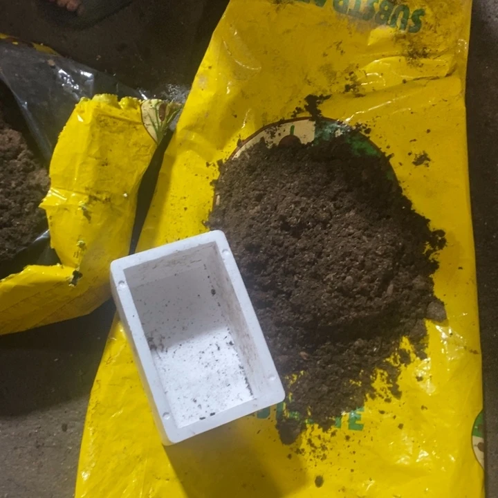 丹麦进口品式泥炭土一泡沫箱