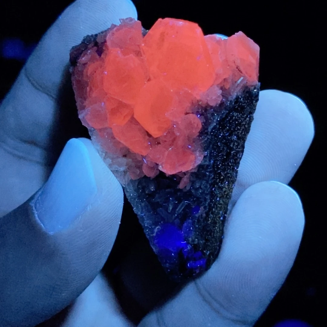 摆件摆件摆件摆件摆件