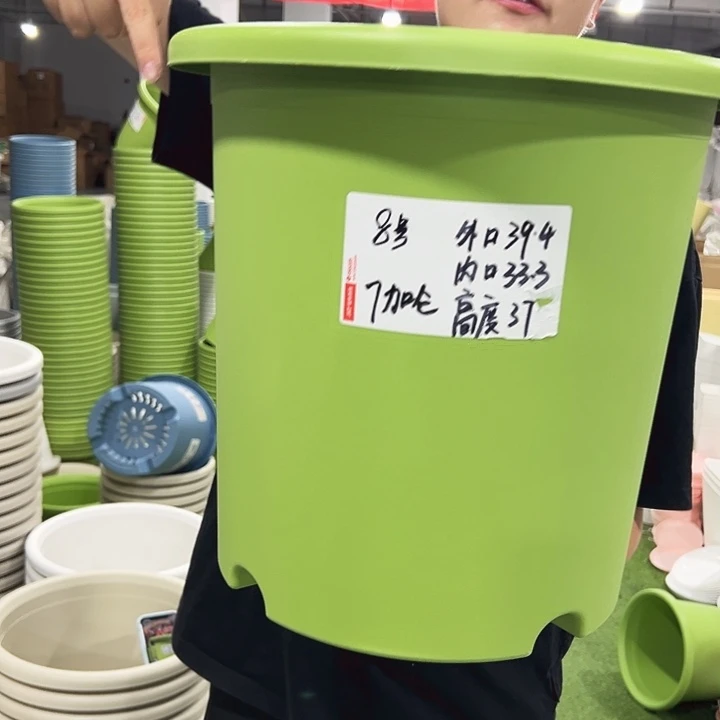 特价8号口39高37果绿色3只无托