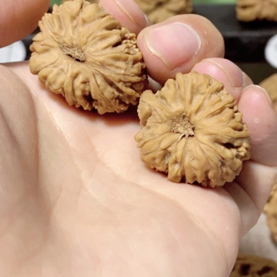 文玩核桃把件6****6今天