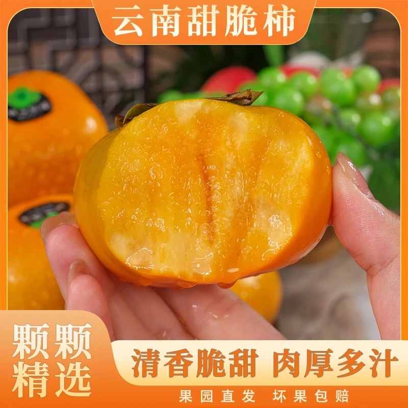 【顺丰发货】云南巧克力脆柿新鲜水果脆皮柿子甜柿子冰糖心柿子水果