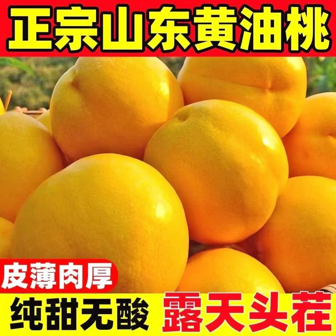 正宗山东蒙阴黄油桃现摘现发脆甜新鲜当季水果果园快递直发
