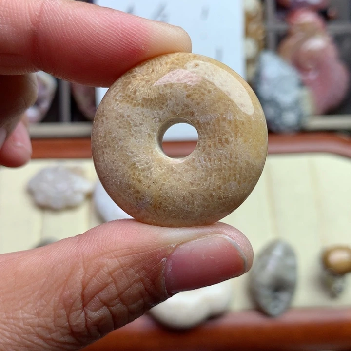 硅化珊瑚（珊瑚玉）颈饰未镶嵌