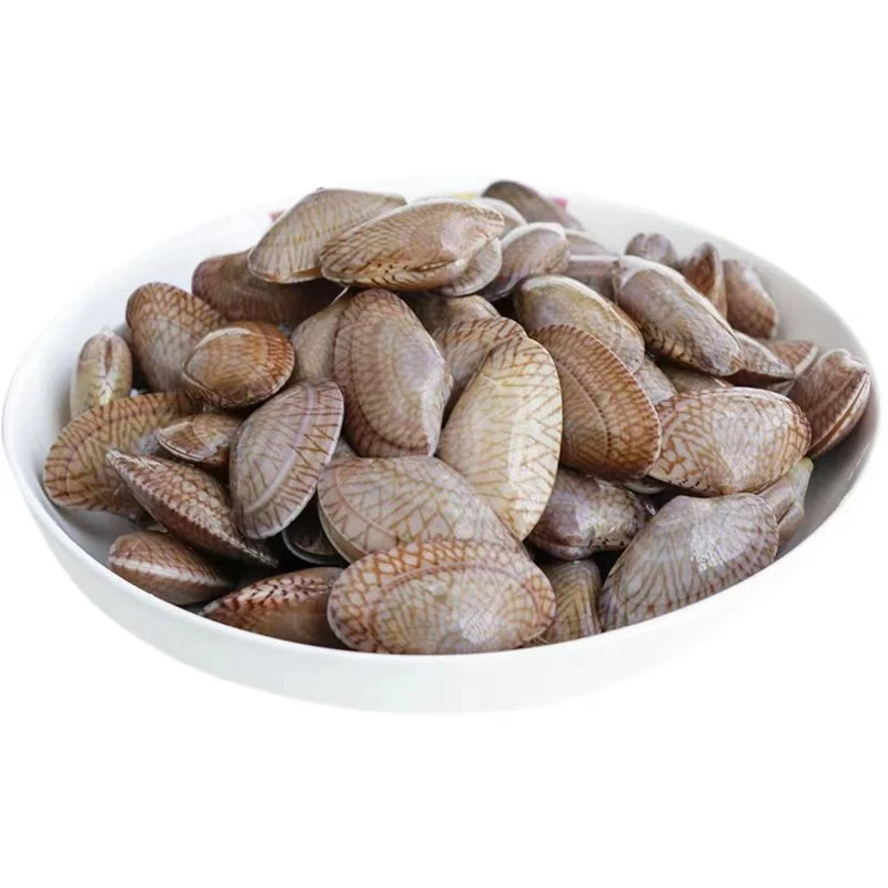 【每日新鲜】精选无沙花甲 一斤