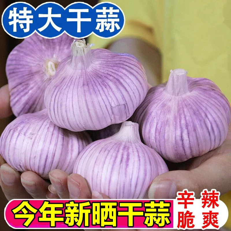 【今年新晒九成干大蒜】紫皮蒜头5斤9斤蒜2025年新蒜多规格紫皮大蒜