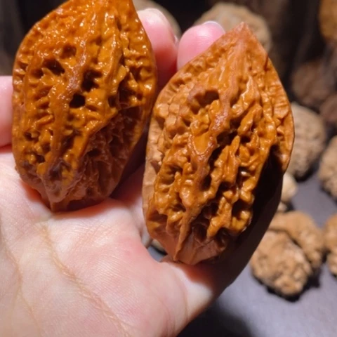 把件文玩核桃东北野生楸子小园 171