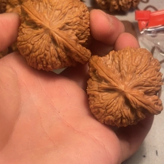 吊坠桃核全品南疆45