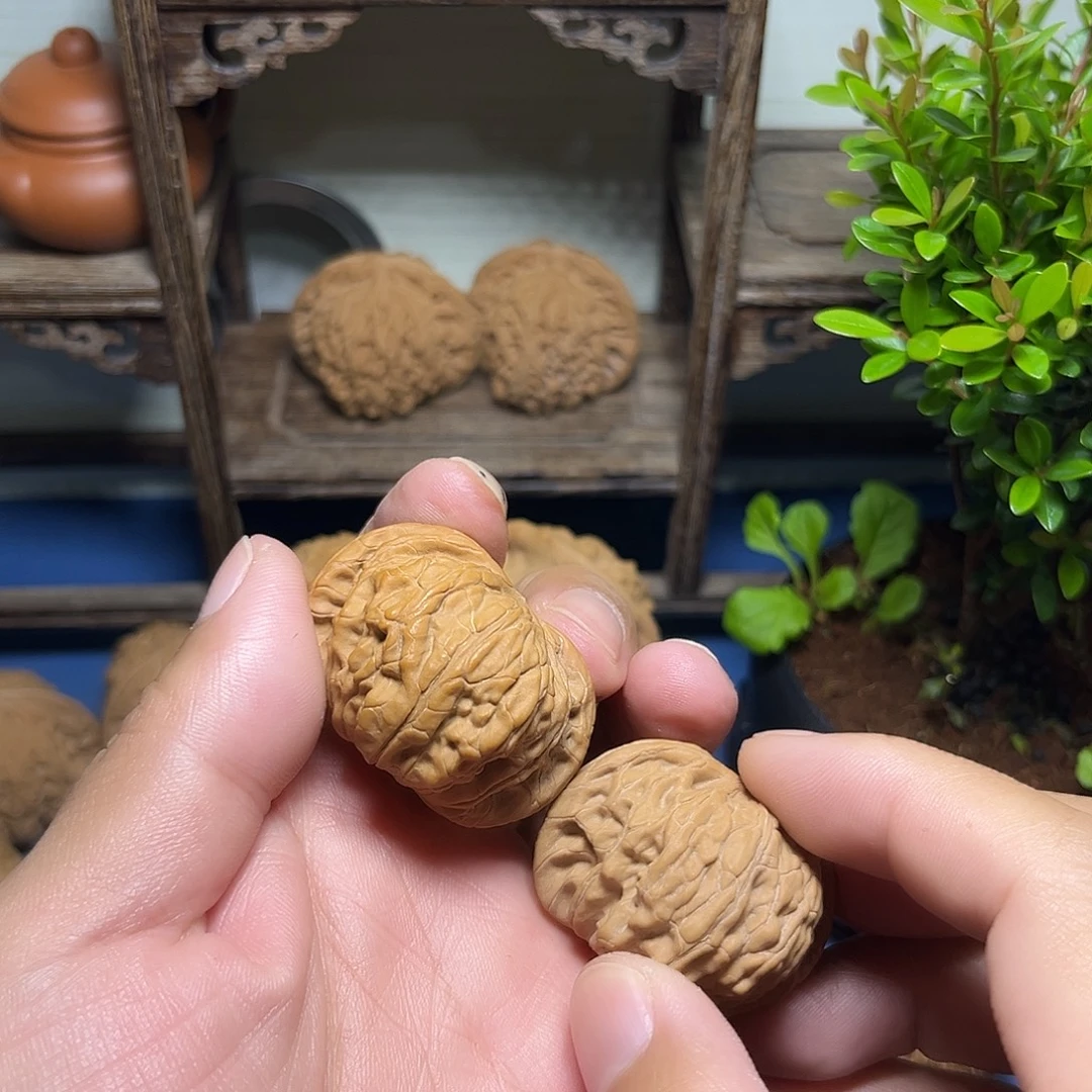 张***张磨盘磨盘磨盘磨盘