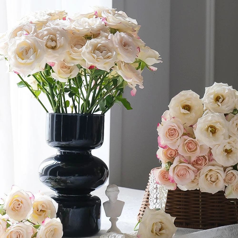 折射多头泡泡玫瑰花云南直发室内水养鲜花云南新鲜鲜花2单包邮