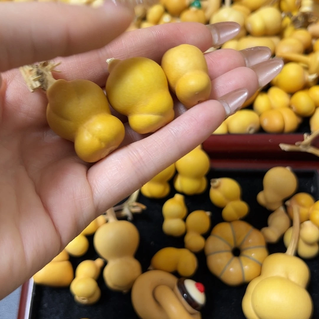 小***。葫芦葫芦葫芦葫芦