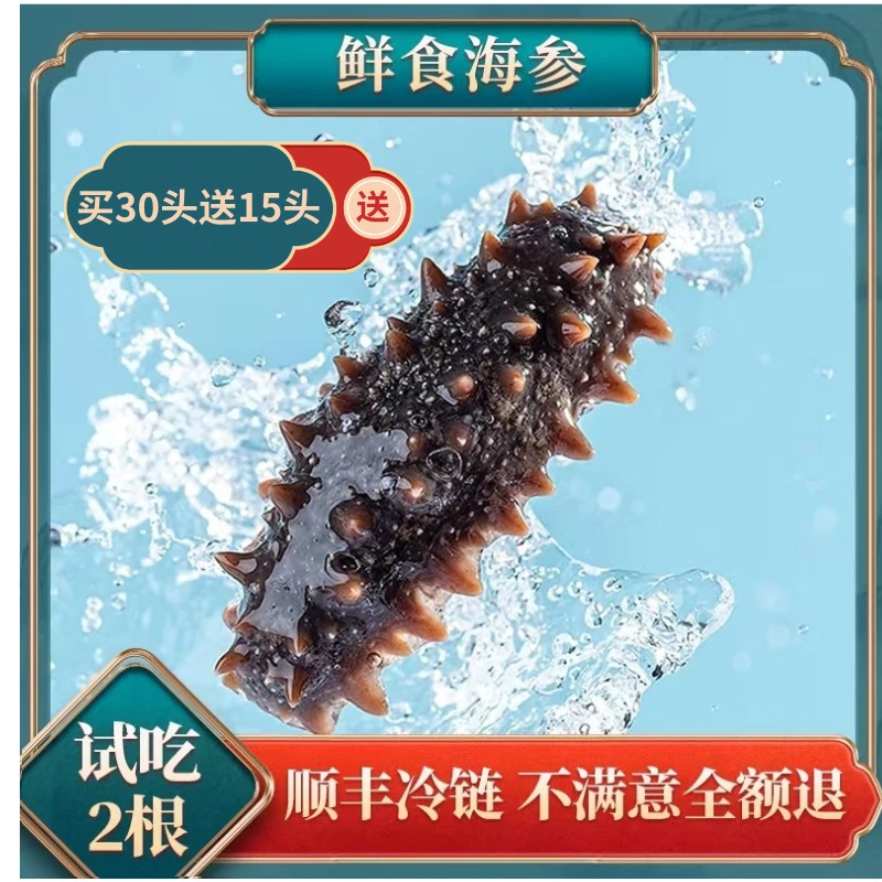【夏季畅销发福利】准15头每斤鲜食海参刺参深海开袋即食到手共3斤