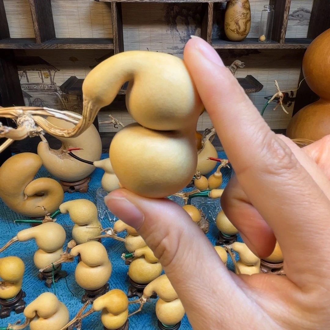 半***。精品蚂蚁嘎嘎漂亮哦