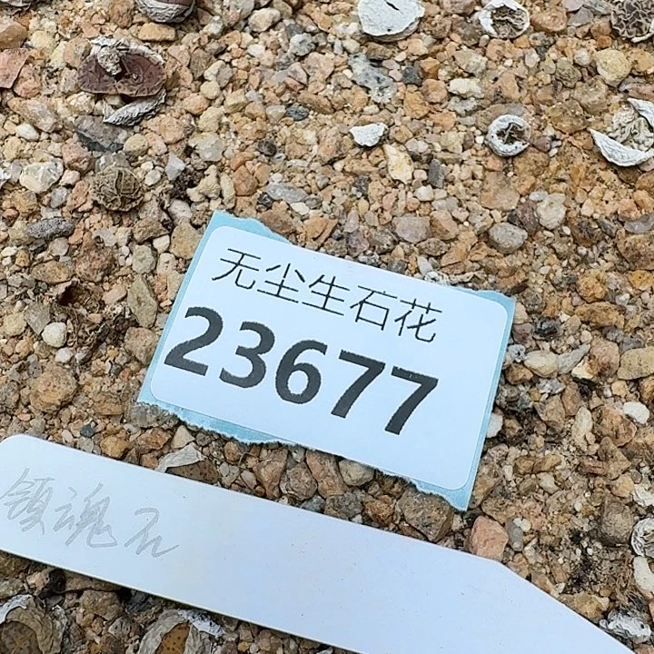 布*23677补差价带框