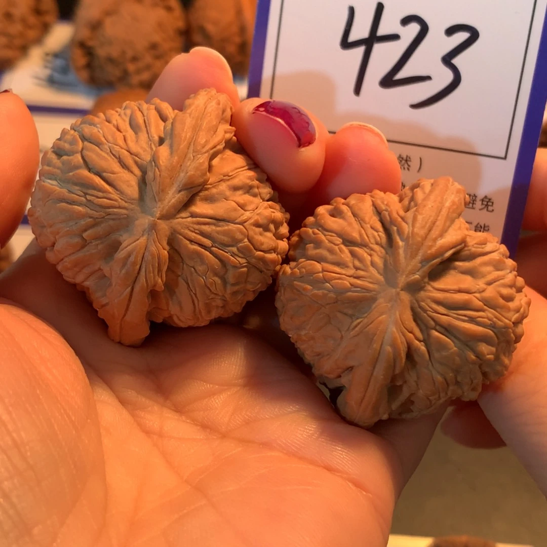 陶***子文玩核桃把件423白狮子4.2