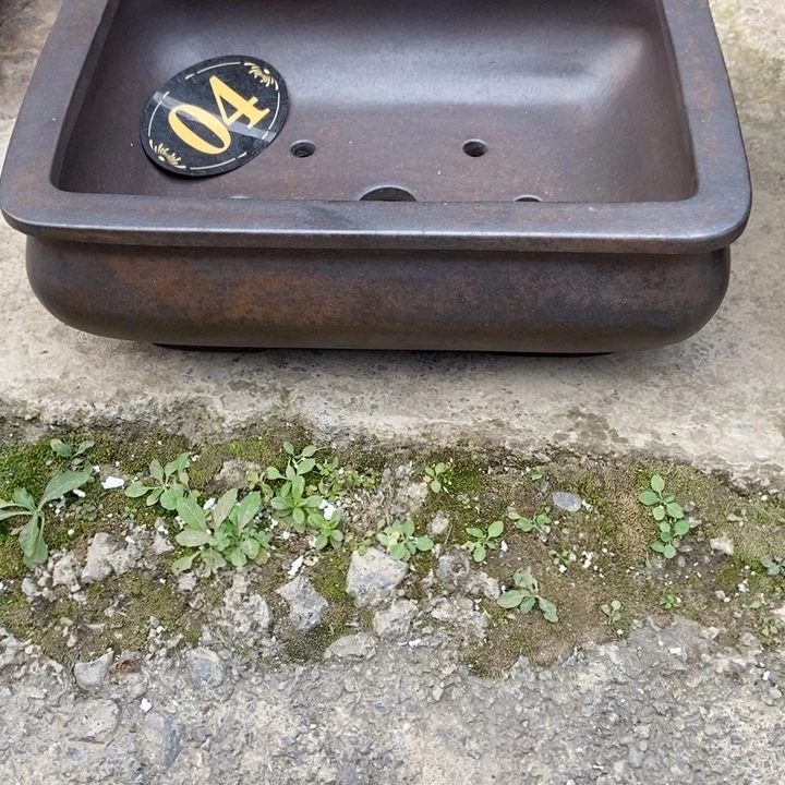 浮***别杨冬益紫砂花盆67890