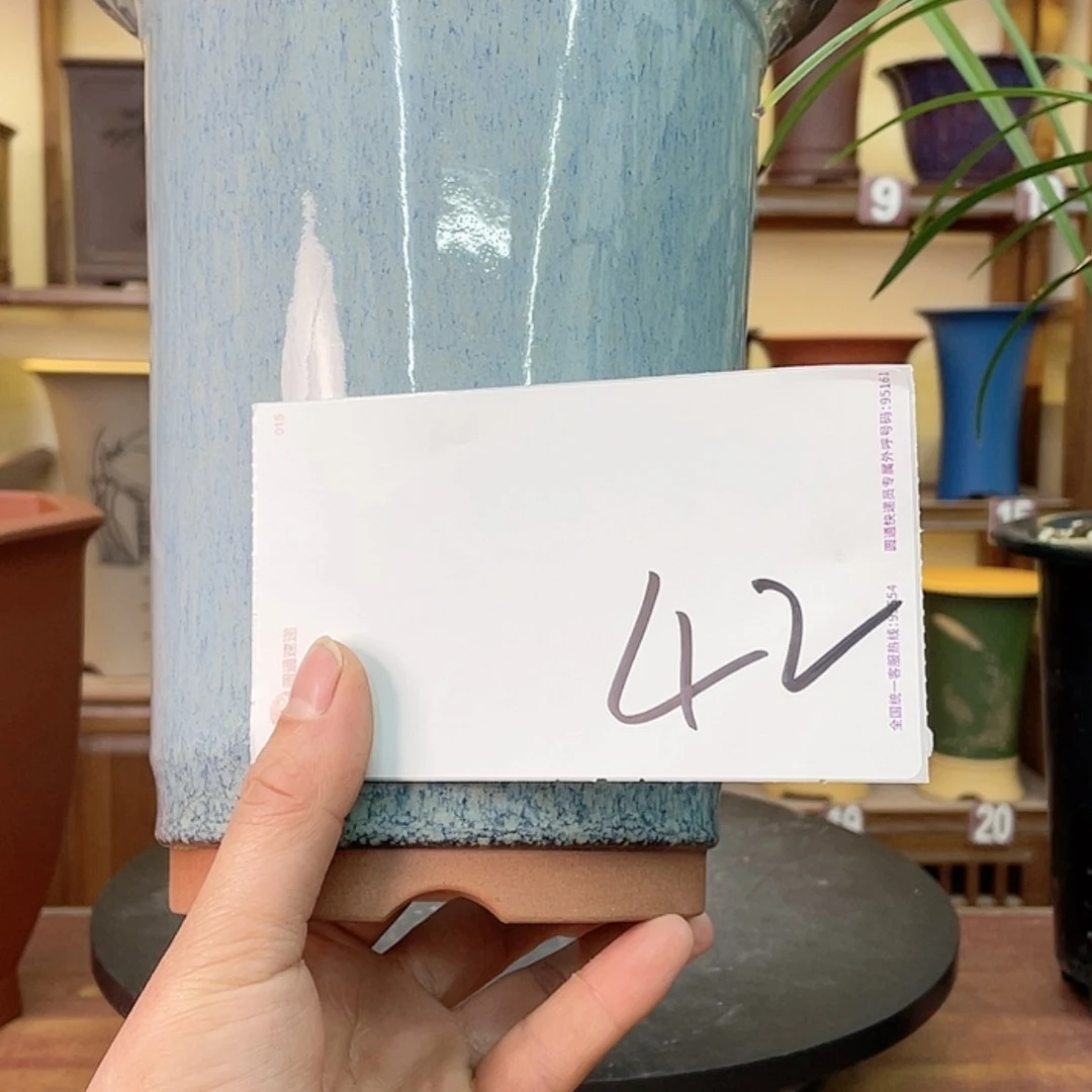【闪购商品】紫砂花盆翠**社兰花755854483685257858
