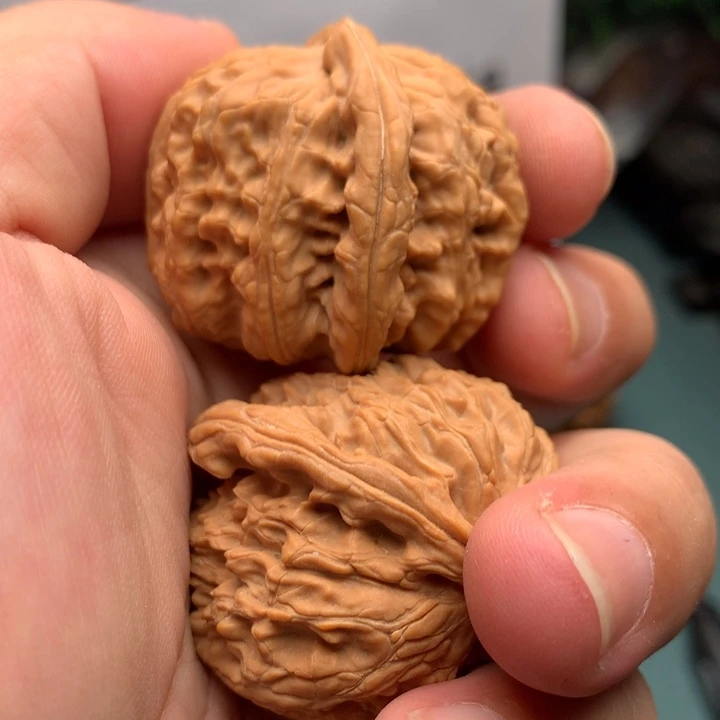 文玩核桃把件墨***。狮子92