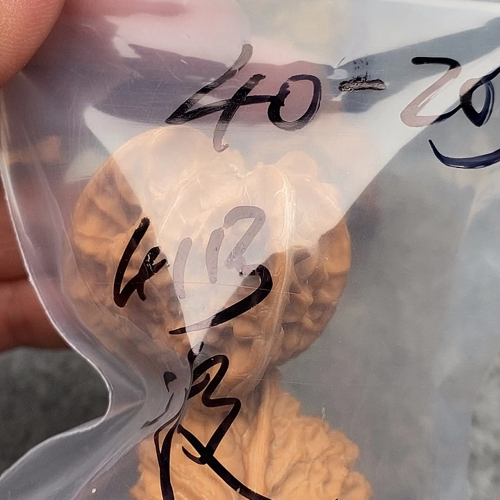 文玩核桃吊坠三棱