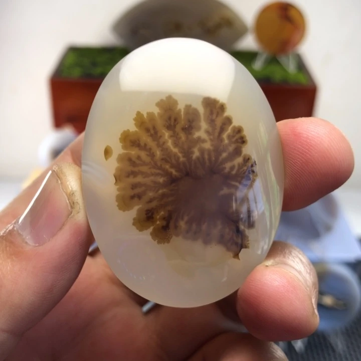 玛瑙/玉髓合金颈饰