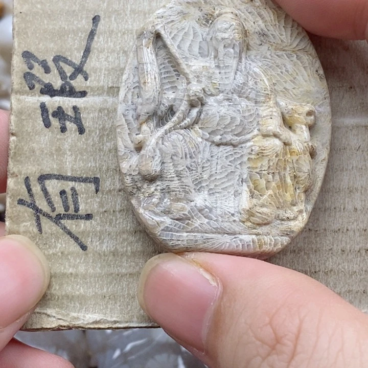 颈饰未镶嵌硅化珊瑚（珊瑚玉）一**子
