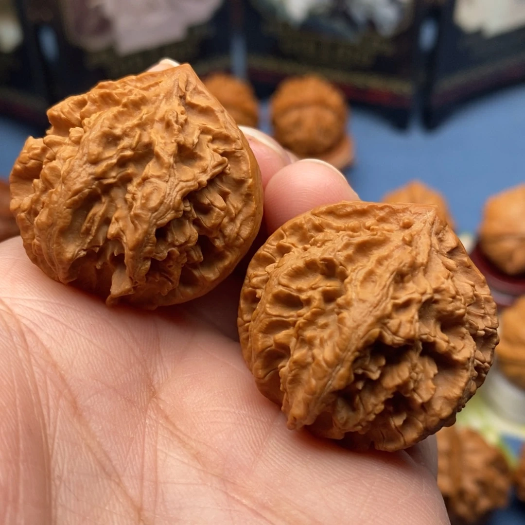 文玩核桃把件黄金鳄