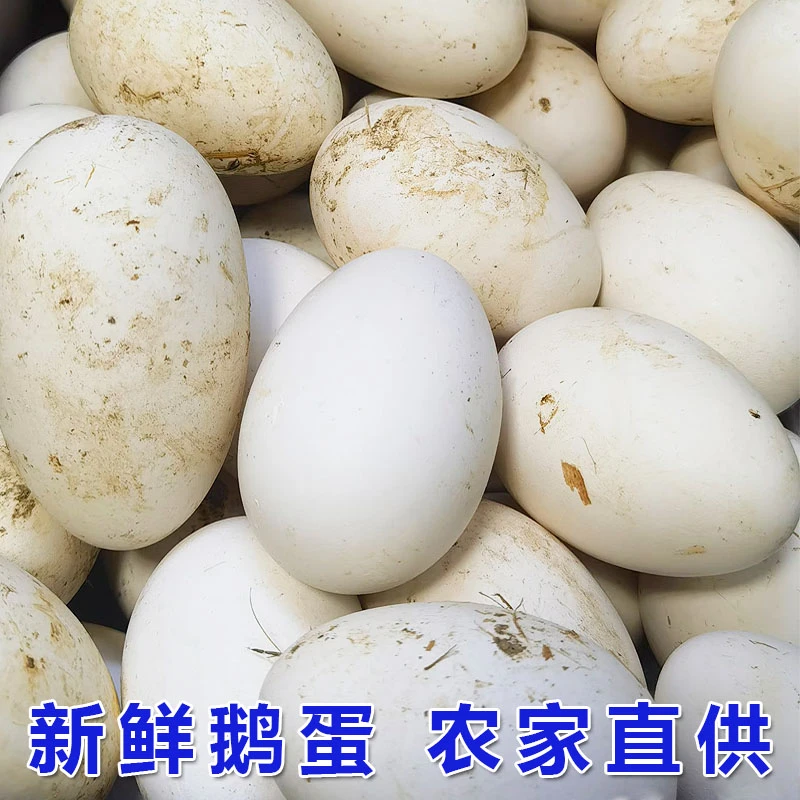 【到手20枚 买10枚送10枚】农家现捡现发散养新鲜鹅蛋仔鹅蛋15