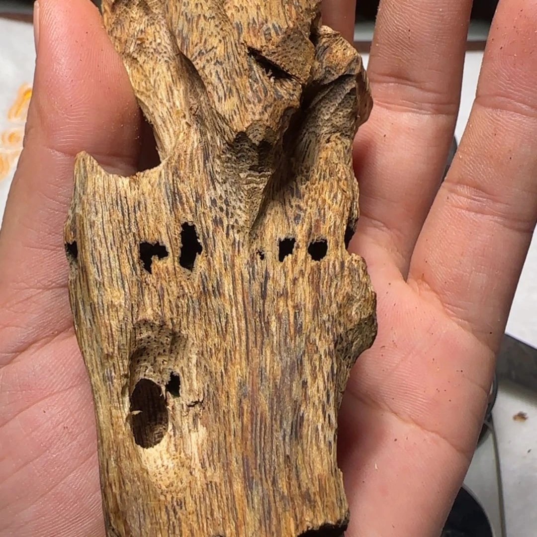 沉香沉香碎屑陆河虫漏