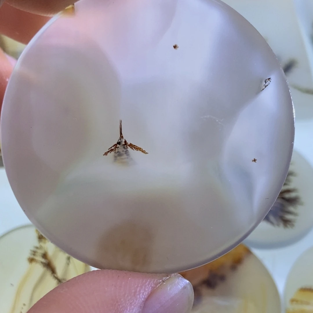 【闪购商品】未镶嵌颈饰玛瑙/玉髓E****g