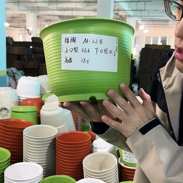 正品矮陶口23.6高17.5果绿无托6只