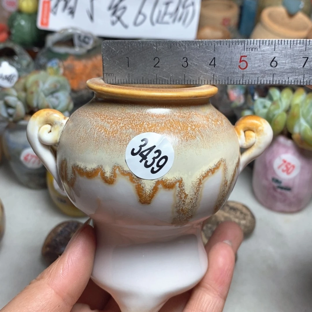 拍5送一个小礼物