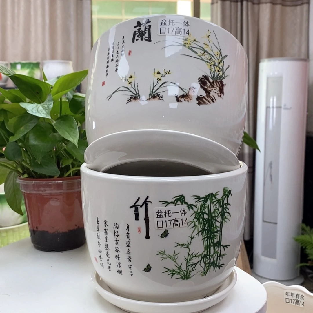 @陶瓷花盆@@竹兰大号