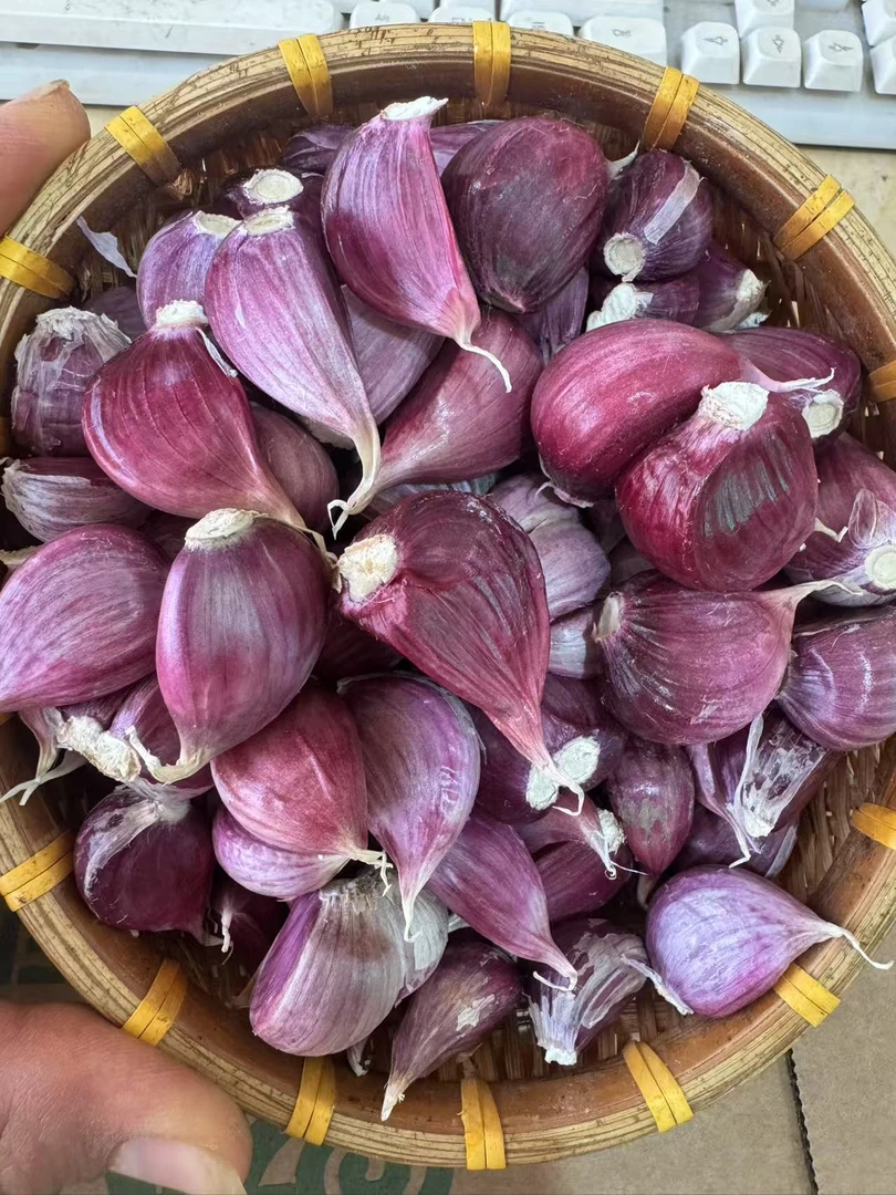 云南老品种红香蒜紫皮大蒜大蒜新干蒜蒜瓣包邮（可吃可种）干大蒜