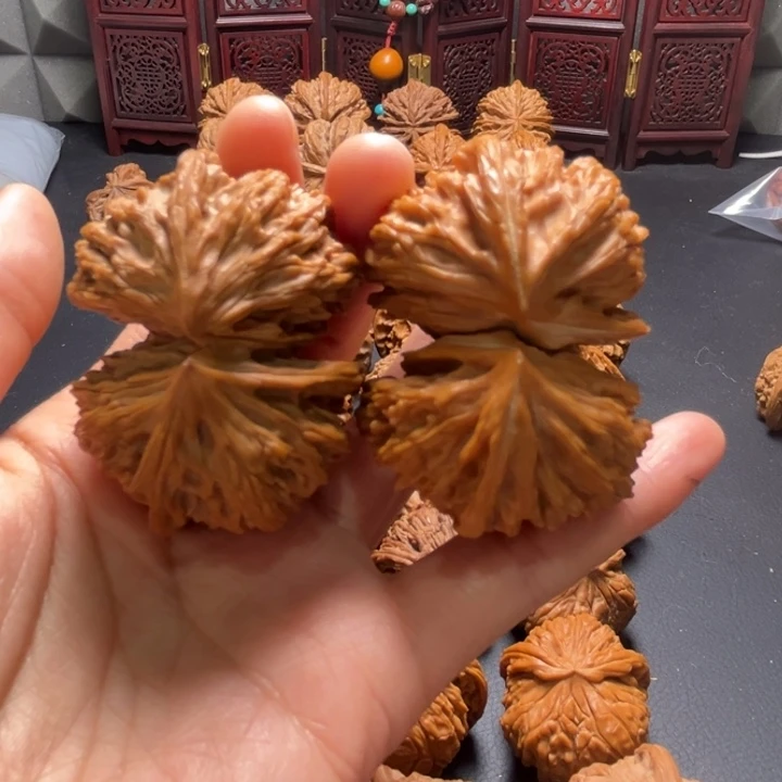 文山连体50尺寸核桃哈哈哈哈哈哈哈
