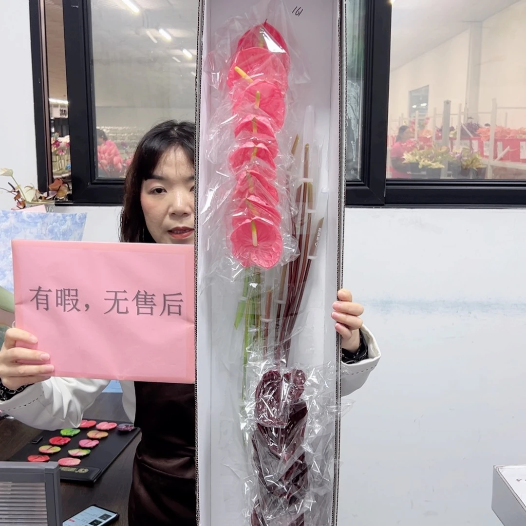 完全开放混色-16枝装无售后款161