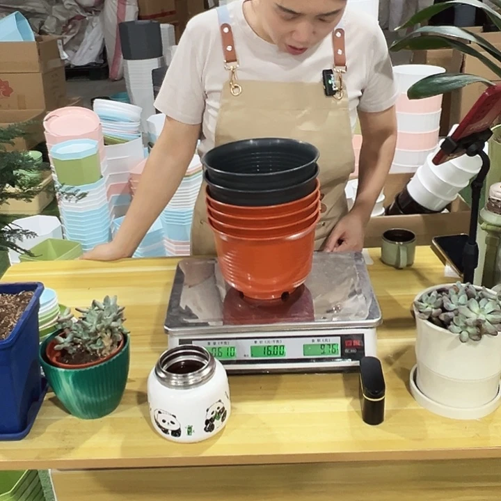 矮陶口18高12混色无托6只