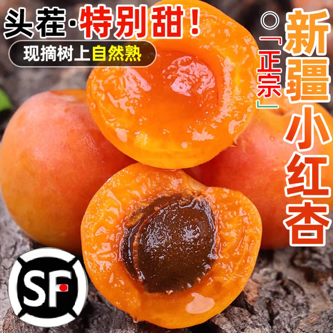 新疆小红杏吊干杏库车黄杏甜杏3/5斤新鲜应季孕妇水果现摘小白杏